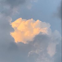dxxdly (@dxxdly) 's Twitter Profile