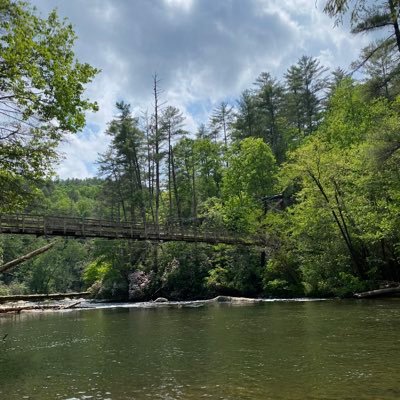 Bigbench7121's profile picture. 