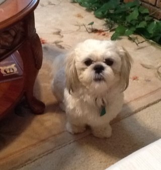 hebert1228's profile picture. 