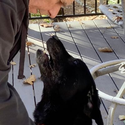 FPeeple's profile picture. Prof. Procrastinator -North Lake Tahoe, USAF Vet, retired educator. also on https://t.co/hhfcV7LDQi