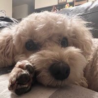 かいそうやさん (@hosoutaishi) 's Twitter Profile Photo かいそうやさん (@hosoutaishi) 's Twitter Profile Photo