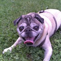 emb (@emb) 's Twitter Profile
