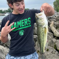Harrison Frank (@frank7_harry) 's Twitter Profile