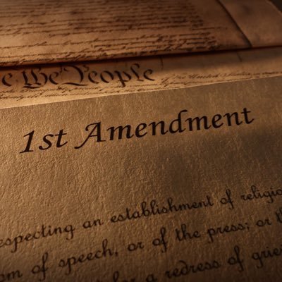 The 1st amendment protects freedom of speech, the press, assembly, and the right to petition the Government for a redress of grievances.