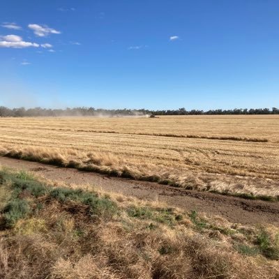 1midwestfarmer's profile picture. 