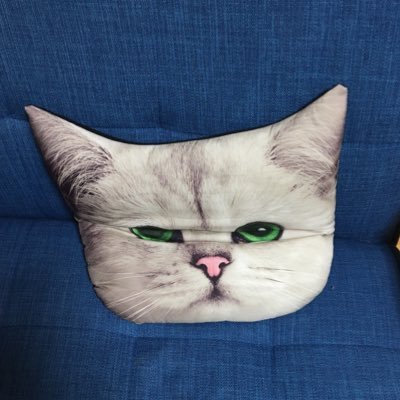 shuntama_'s profile picture. 独立して機械学習の研究開発をしてます。UchrTech代表　https://t.co/2eCCdBID2R　超解像／画像生成／3dスキャン