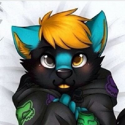 💚Professional | Furry Artist | Gamer |Animator | Rigger | Digital
Artist | Professional 2D and 3D Furry Artist Swimmer | Reasonable prices | DM for your work