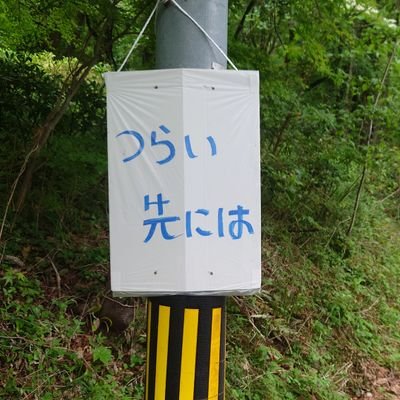 ランニング・ウォーキング・ビール・ちょっと筋トレ・釣りは少しお休み中そろそろ復活しなきゃ😊
無言フォロー失礼します🙇