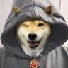 NAFODaveO's profile picture. #NAFO. #fellas follow me for news, memes & bonking, @doctor_zapp for the science. #NAFONiteShift @Volya4UA radio co-host.
Furry 🐘- doctor_zapp@nafo.uk