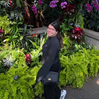 Ms. Sanabria (@islandtaught) 's Twitter Profile