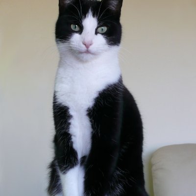 Greg811911410's profile picture. 