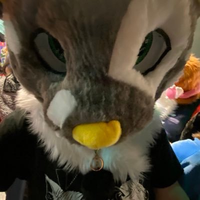 LeolirTheHorsie's profile picture. • Furry Scum of the Earth • Dumb Bunny • 18 Years of age • Queer and taken • He/She/They/Whatever • Premade Head by zero_._.art on insta • SFW art only posted •