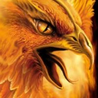 Star Phoenix (@starphoenixss) 's Twitter Profile