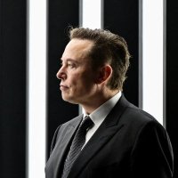 Elon Musk You Beauty(@ElonYouBeauty) 's Twitter Profile Photo