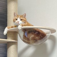 福岡のウバタ🐾 (@fukuoka_ubata) Twitter profile photo