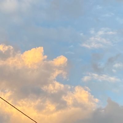 sttuuddieess's profile picture. 