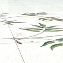 Billy Ryan - @BillyRyan748 - Twitter