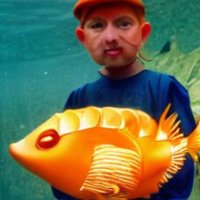 Dum Bass (@co2head) 's Twitter Profile