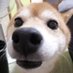 マキマキマッキー!! (@33jmptw24) Twitter profile photo マキマキマッキー!! (@33jmptw24) Twitter profile photo