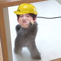 bbgg (@chinnipa2) 's Twitter Profile