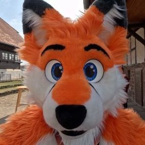 https://t.co/xWx4H4ElO8
Camera fox, 40+ suit by @whitewingsuits
Get out if you're a nazi, a transphobe, a zoo or a pedo.