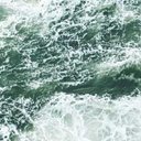 Alec Wang - @AlecWang2058884 - Twitter