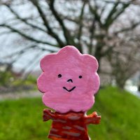 つなぐ 藁科・さくら祭り実行委員 (@warashinasakura) 's Twitter Profile