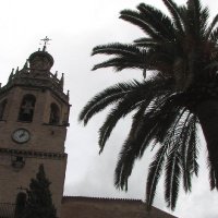 Andalucia (@andaluciafan) 's Twitter Profile Photo Andalucia (@andaluciafan) 's Twitter Profile Photo