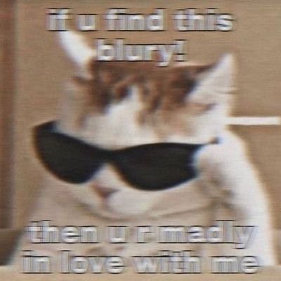 mohitd308's profile picture. 