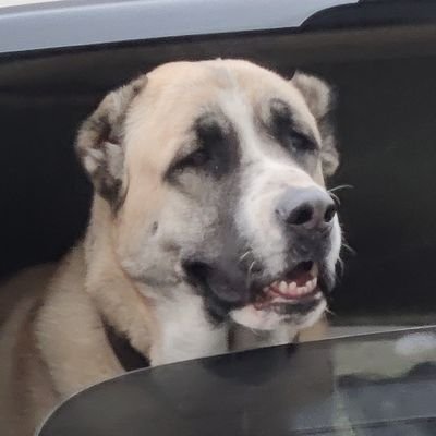 Ms_Kyzya_'s profile picture. Retired Roblox player