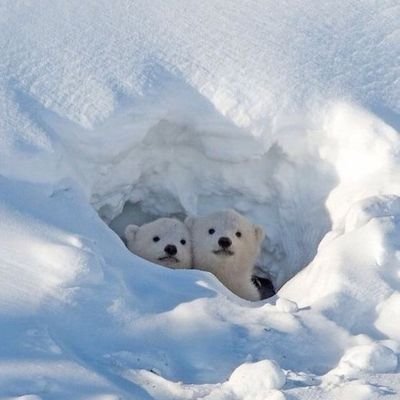 JinYK_7's profile picture. 在世界上某个没有人的角落 我们悄悄地说悄悄话吧