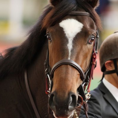 競馬が好きな社畜戦士です🐴馬券収支はクソ雑魚マン😇