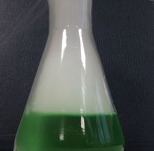 tsubido5's profile picture. 