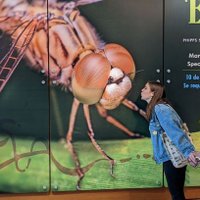 Olivia Carter (@livv_grace_22) 's Twitter Profile