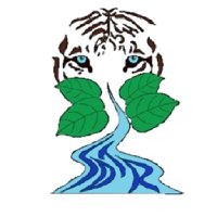 Sanjay Tiger Reserve, Madhya Pradesh (@sanjay_tigerr) 's Twitter Profile Photo Sanjay Tiger Reserve, Madhya Pradesh (@sanjay_tigerr) 's Twitter Profile Photo