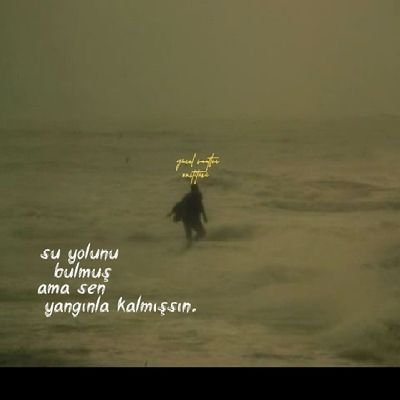 haylihayal's profile picture. 