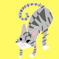 ザ・ペーパー (@paper7802) 's Twitter Profile