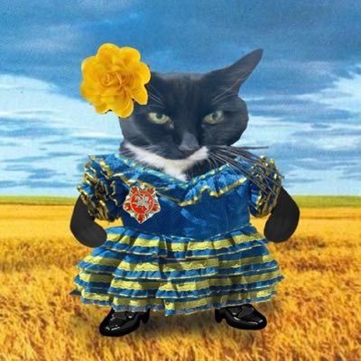 Proud Main Bastard Tea Division 🇬🇧 🇺🇦 🇪🇸 🇬🇪 Bring back the stolen children of Ukraine. Justice for Syria, Georgia and Africa. No original memes.