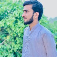 Muhammad Kashif Bashir(@Muhamma8144690) 's Twitter Profileg