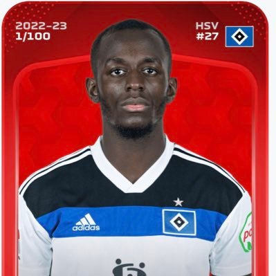 Hamburger Jung 🖤🤍💙 Playsharper Experte für den HSV und St.Pauli