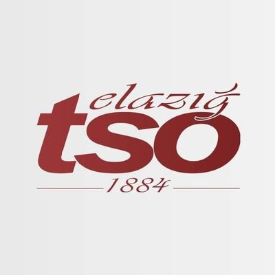 elazigtso's profile picture. 