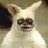 rarofis's profile image