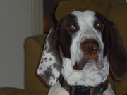 neil_walton's profile picture. 