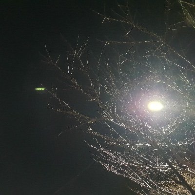 appbug123's profile picture. 