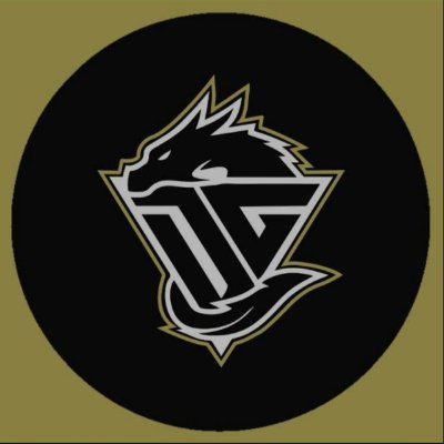 🎮 Dragons Gaming Barcelona | #DGB
🔥 Equips de LoL & VALORANT de BCN
🐉 Més que un equip, una familia