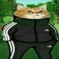 KE422329496's profile picture. 