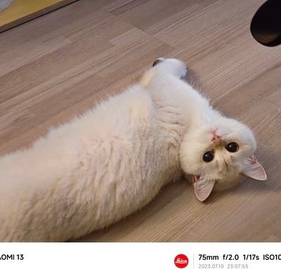 oikko7788's profile picture. 随便看看