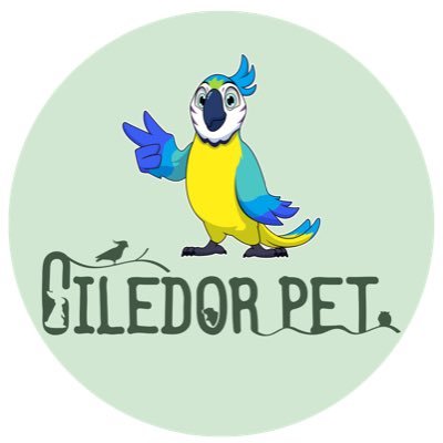 a bird toys supplier and factory,which aims to provide best quality toys with lowest price for you