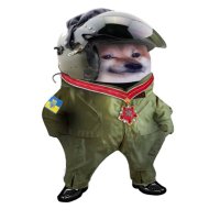 Mans M (@mans_m) 's Twitter Profile