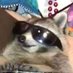 Raccoon (@raccoon_hehe) Twitter profile photo Raccoon (@raccoon_hehe) Twitter profile photo